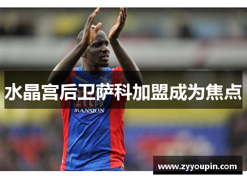 水晶宫后卫萨科加盟成为焦点